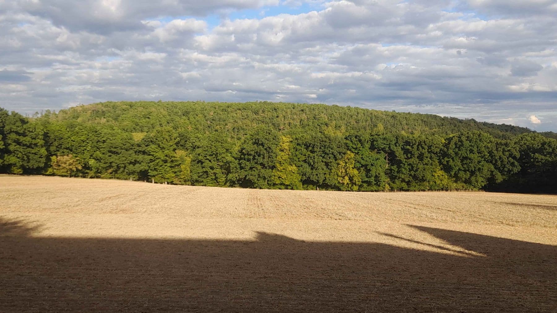 Prodej pozemku 539 m², Východní, Březová-Oleško, Středočeský kraj Prodej pozemku 539 m², Východní, Březová-Oleško, Středočeský kraj