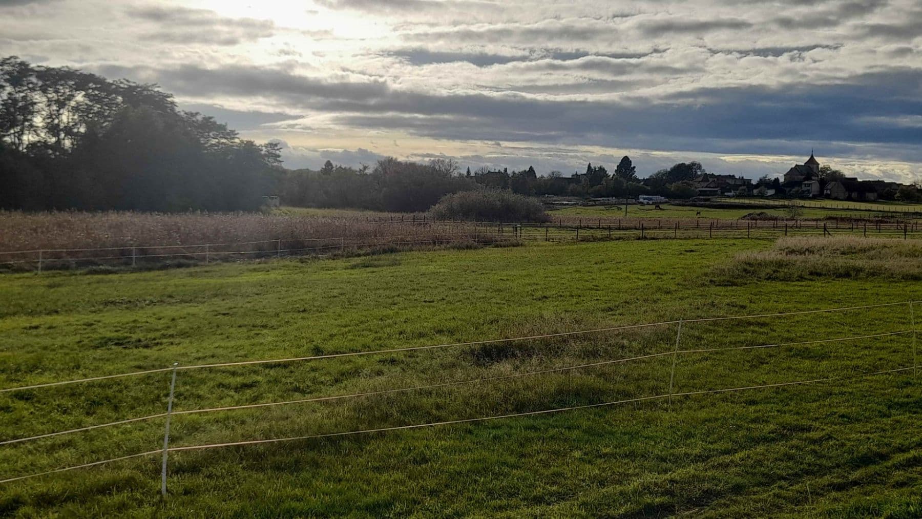 Prodej pozemku 1.500 m², Čachovice, Středočeský kraj Prodej pozemku 1.500 m², Čachovice, Středočeský kraj