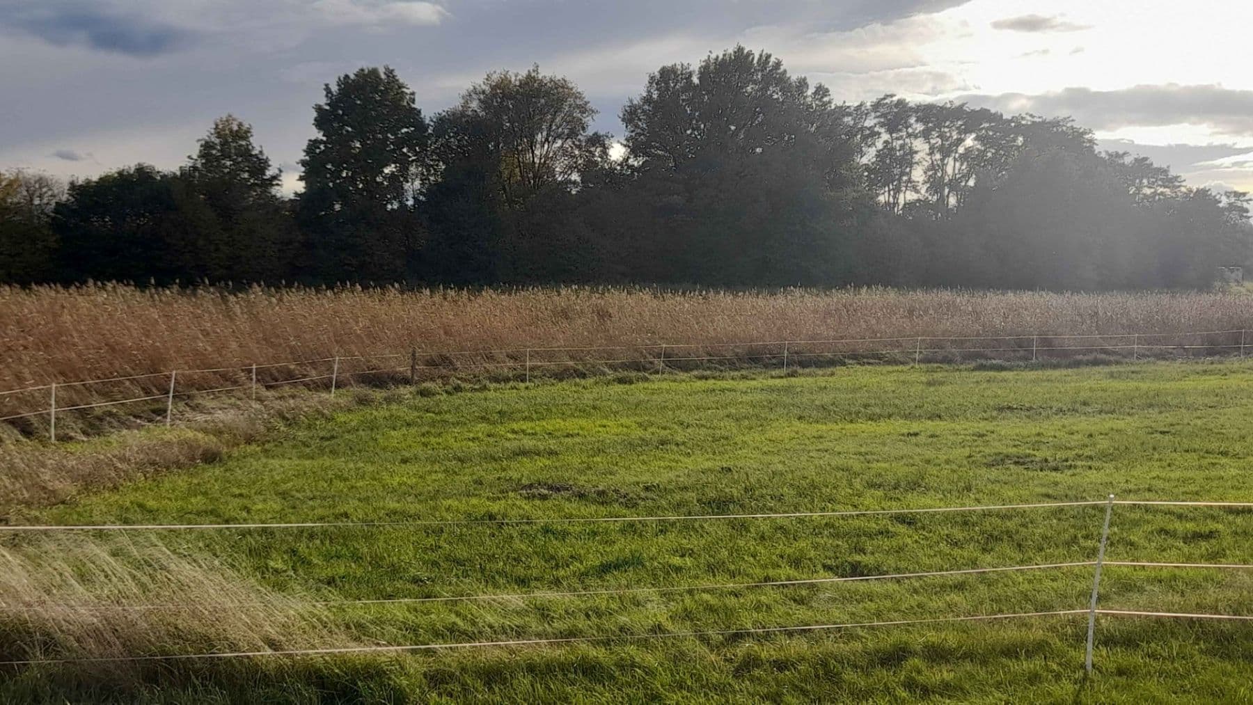 Prodej pozemku 1.500 m², Čachovice, Středočeský kraj Prodej pozemku 1.500 m², Čachovice, Středočeský kraj