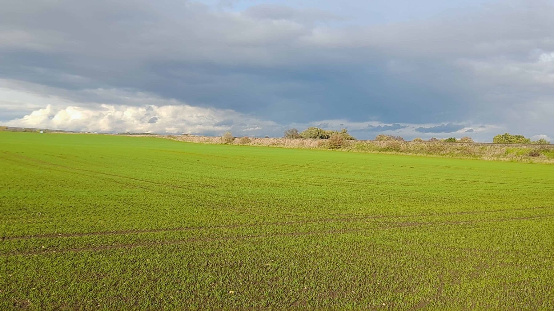 Prodej pozemku 1.500 m², Čachovice, Středočeský kraj Prodej pozemku 1.500 m², Čachovice, Středočeský kraj