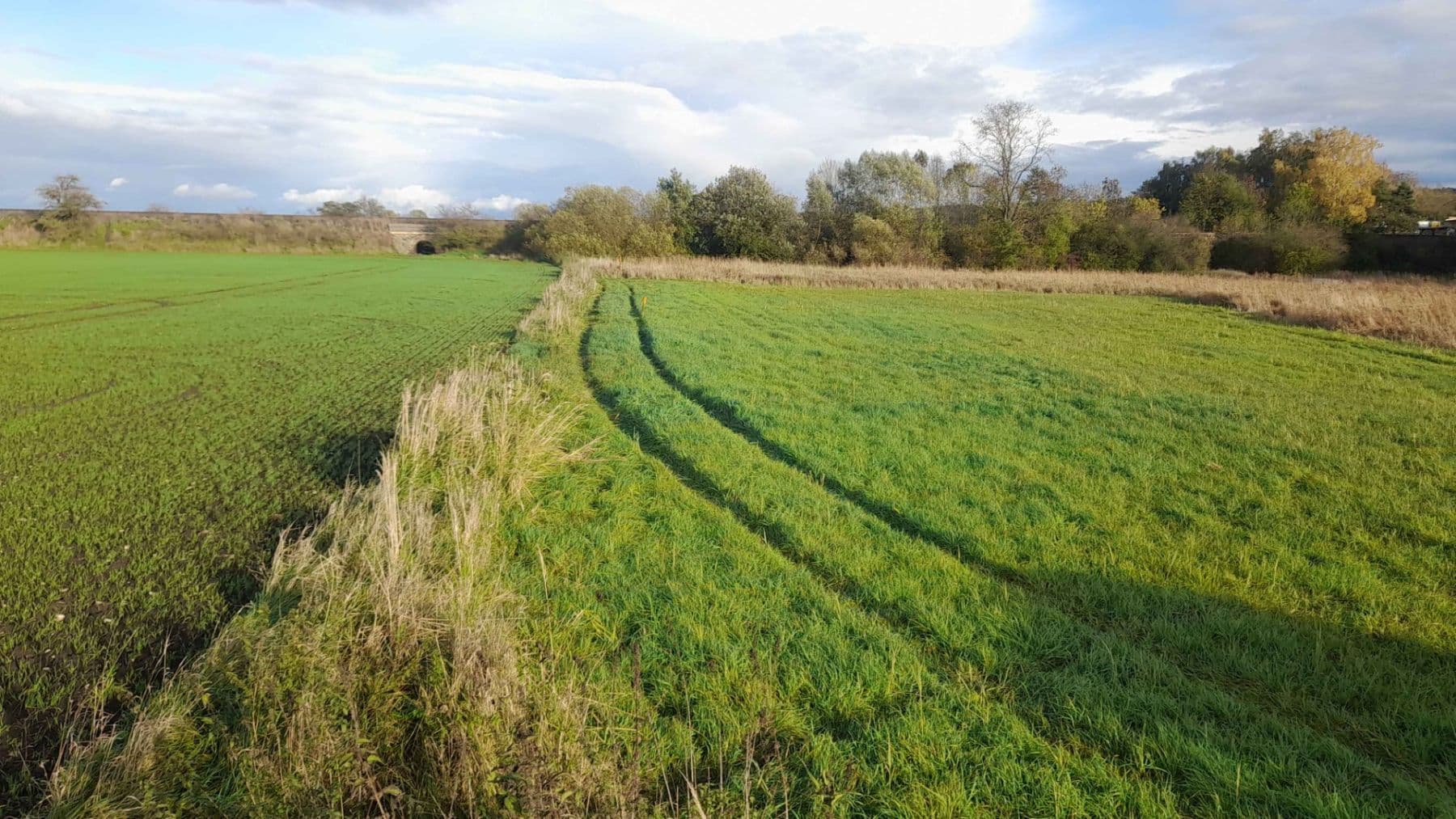 Prodej pozemku 1.500 m², Čachovice, Středočeský kraj Prodej pozemku 1.500 m², Čachovice, Středočeský kraj