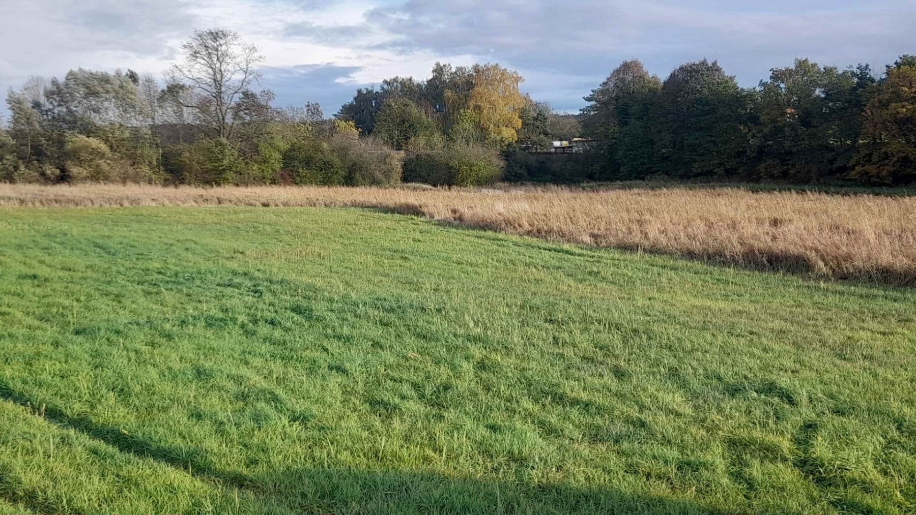 Prodej pozemku 1.500 m², Čachovice, Středočeský kraj Prodej pozemku 1.500 m², Čachovice, Středočeský kraj