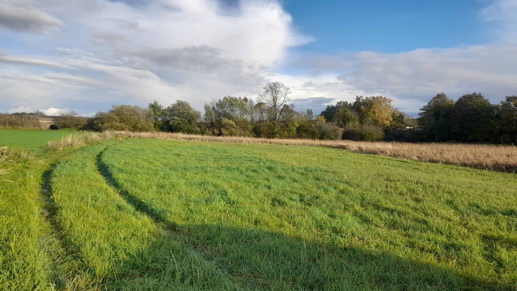 Prodej pozemku 1.500 m², Čachovice, Středočeský kraj Prodej pozemku 1.500 m², Čachovice, Středočeský kraj