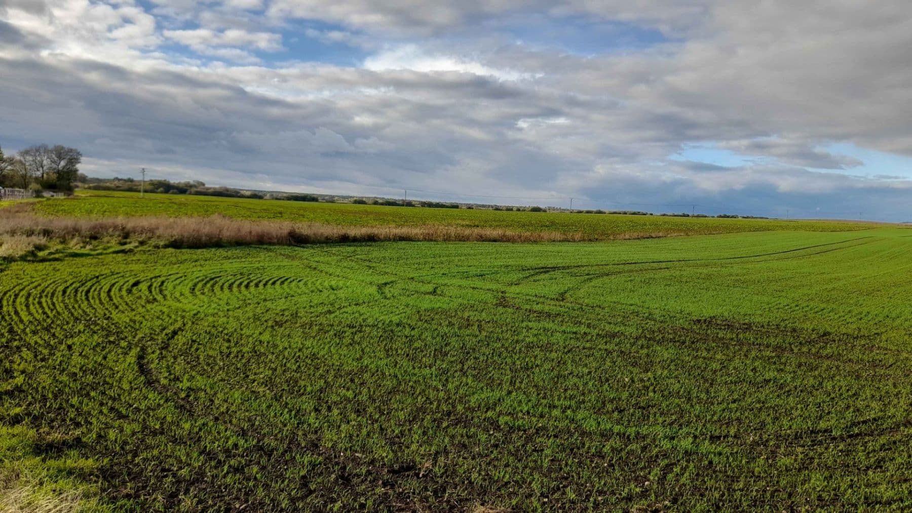 Prodej pozemku 1.500 m², Čachovice, Středočeský kraj Prodej pozemku 1.500 m², Čachovice, Středočeský kraj