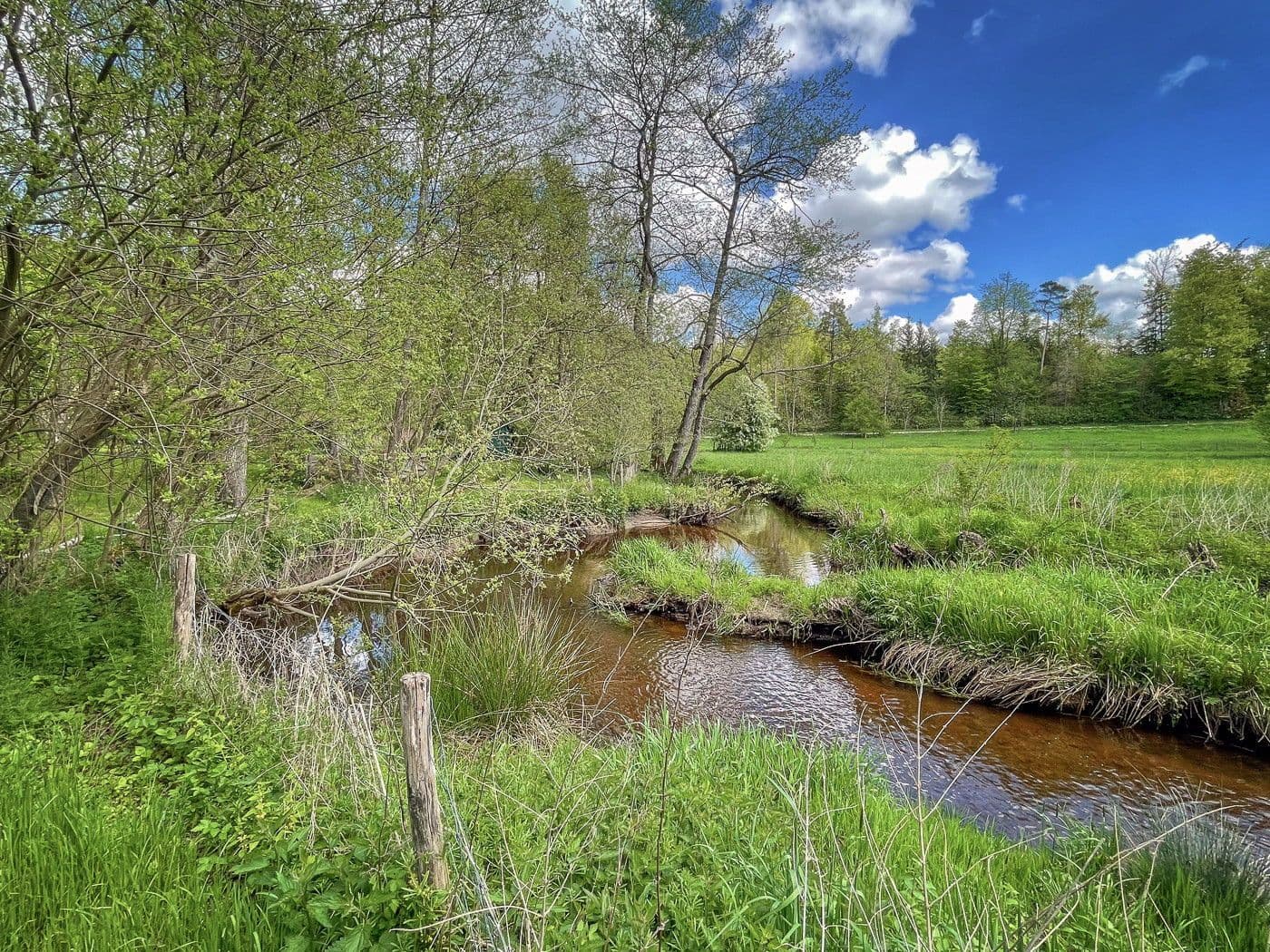 Prodej domu 130 m², pozemek 2.678 m², Manthalstr. 2, Berg, Bavorsko Prodej domu 130 m², pozemek 2.678 m², Manthalstr. 2, Berg, Bavorsko