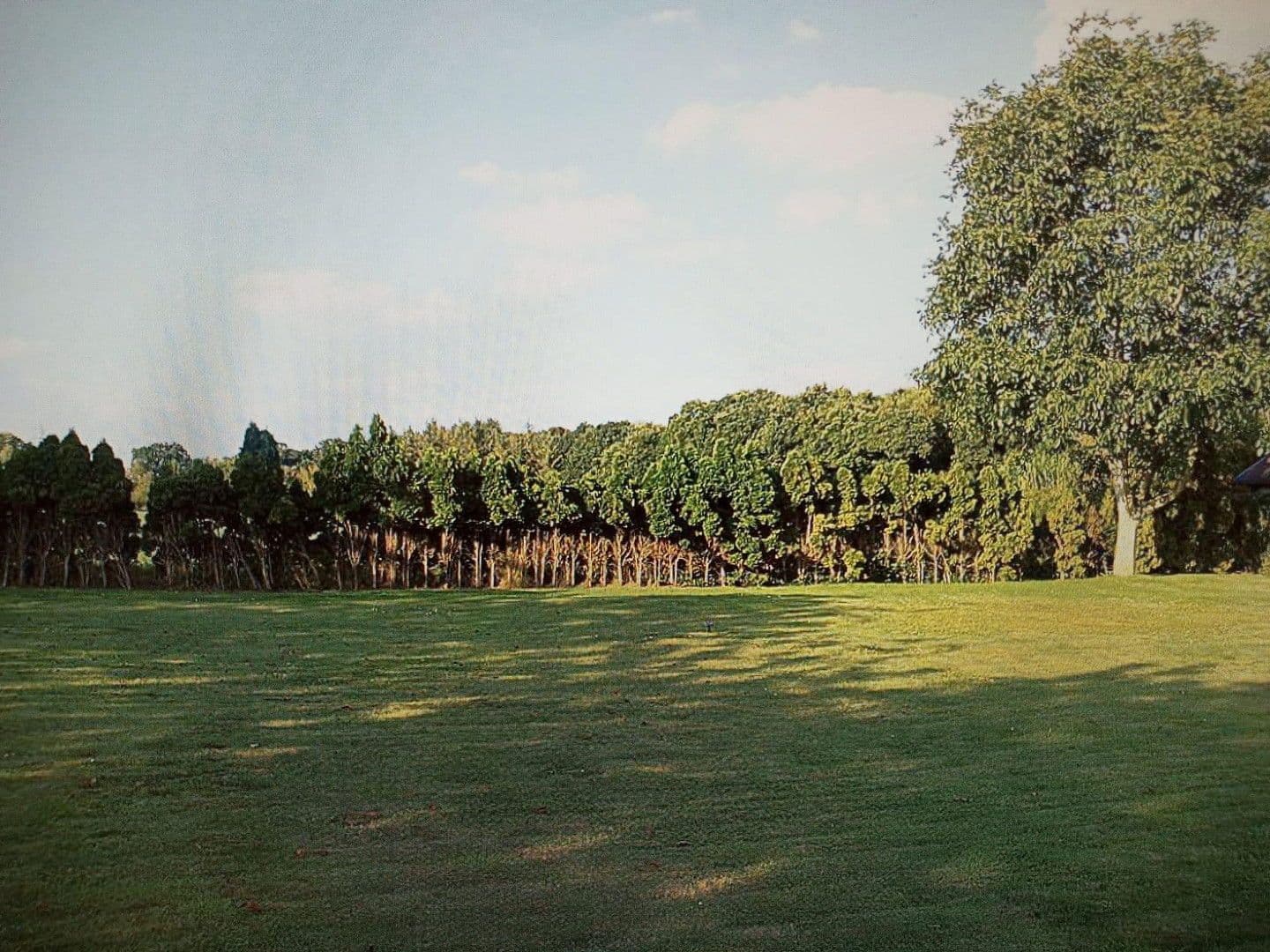 Pronájem domu 120 m², pozemek 1.300 m², Wiefelstede, Dolní Sasko Pronájem domu 120 m², pozemek 1.300 m², Wiefelstede, Dolní Sasko