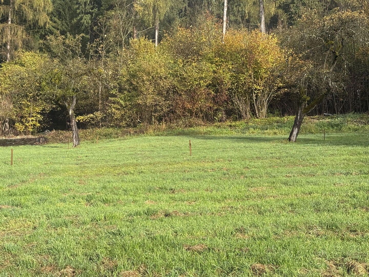 Prodej pozemku 454 m², Grünsbach, 122, Münster, Tyrolsko Prodej pozemku 454 m², Grünsbach, 122, Münster, Tyrolsko