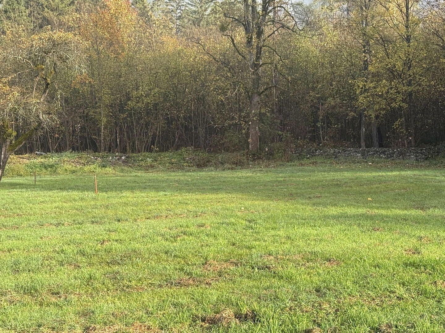 Prodej pozemku 454 m², Grünsbach, 122, Münster, Tyrolsko Prodej pozemku 454 m², Grünsbach, 122, Münster, Tyrolsko