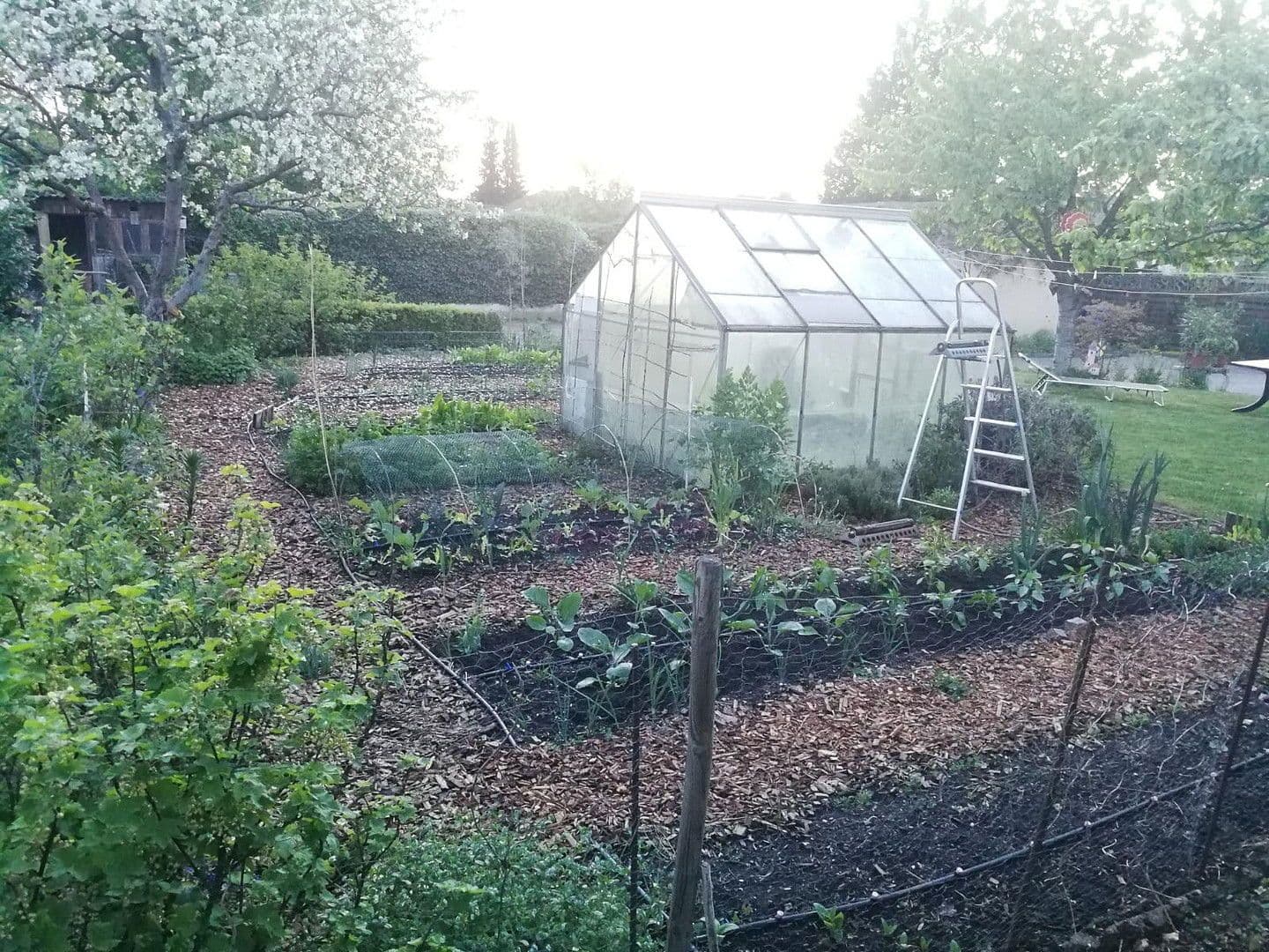 Prodej domu 174 m², pozemek 1.787 m², Alte Heerstraße 25, Wesendorf, Dolní Sasko Prodej domu 174 m², pozemek 1.787 m², Alte Heerstraße 25, Wesendorf, Dolní Sasko