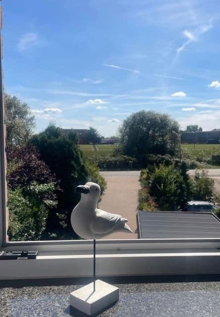 Prodej domu 220 m², pozemek 805 m², Hamburg, Hamburg Prodej domu 220 m², pozemek 805 m², Hamburg, Hamburg