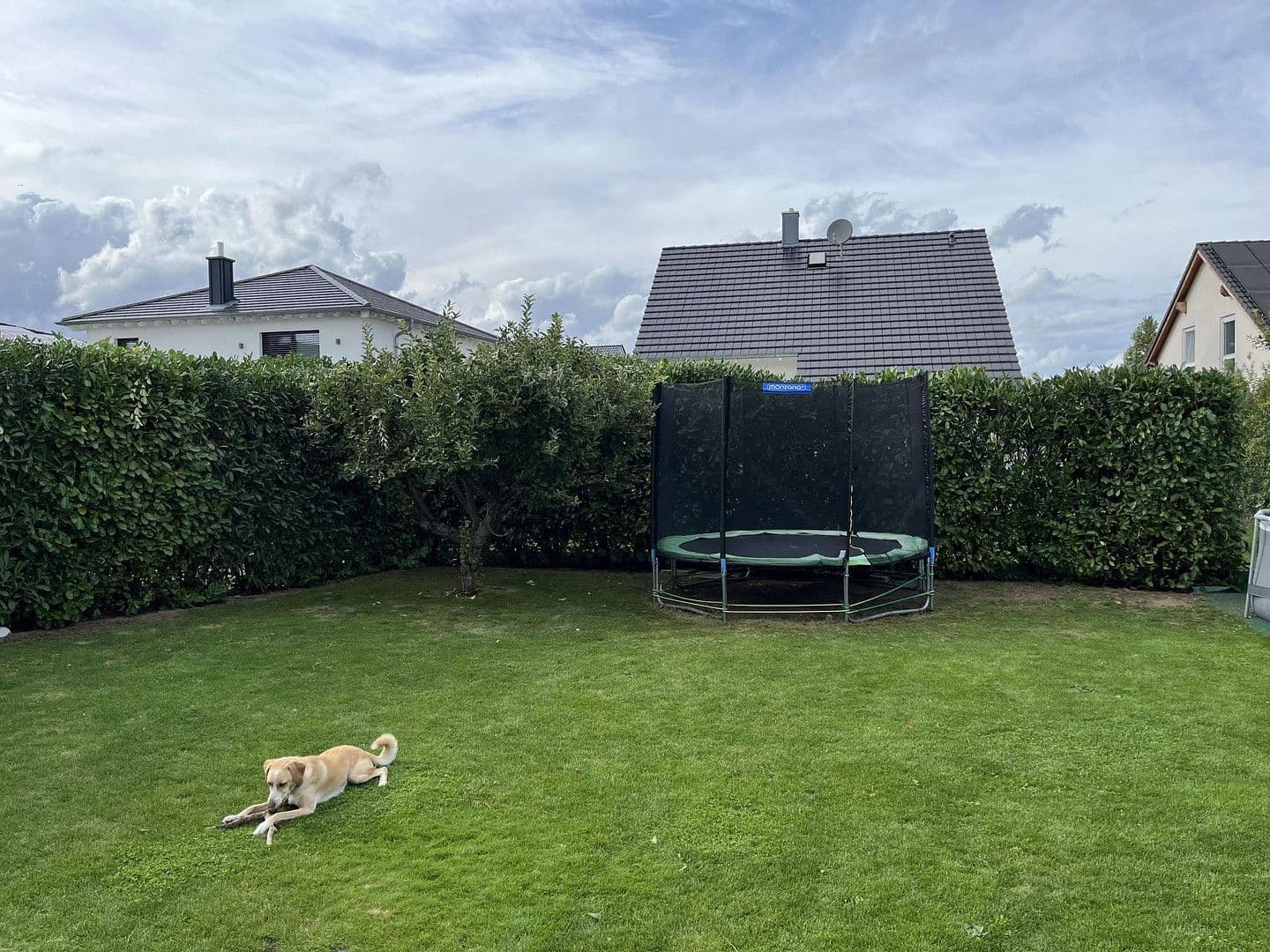 Prodej domu 126 m², pozemek 514 m², Bürstadt, Hessen Prodej domu 126 m², pozemek 514 m², Bürstadt, Hessen