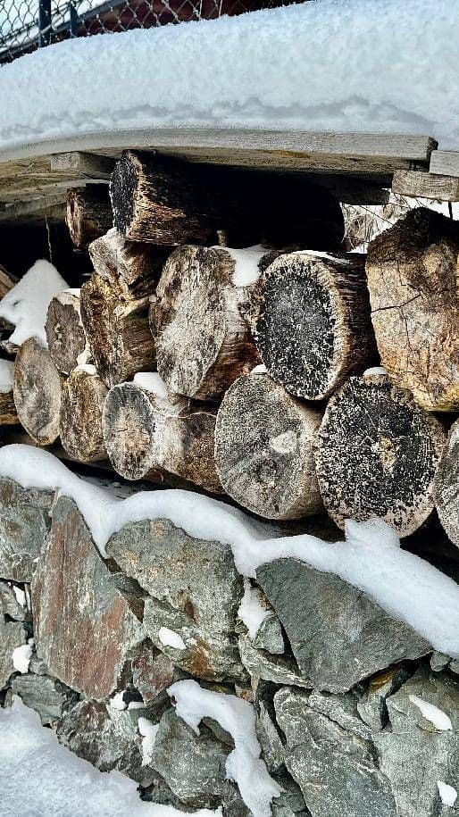 Pronájem chaty, chalupy, Olešnice v Orlických horách, Královéhradecký kraj Pronájem chaty, chalupy, Olešnice v Orlických horách, Královéhradecký kraj