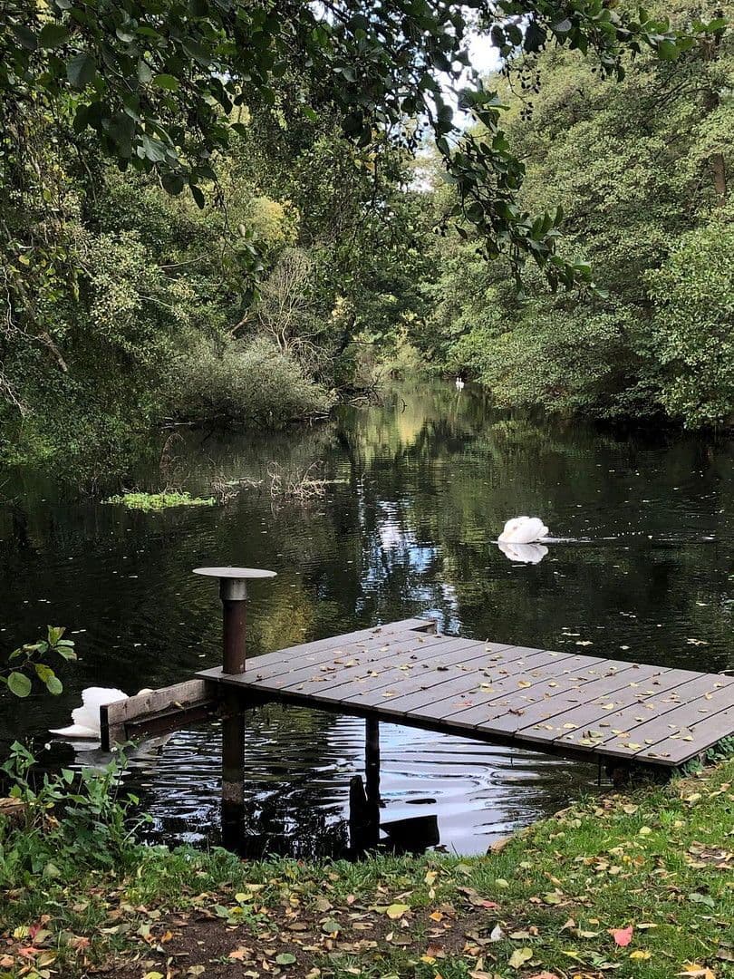 Prodej domu 128 m², pozemek 840 m², Weidenweg 25b, Birkenwerder, Braniborsko Prodej domu 128 m², pozemek 840 m², Weidenweg 25b, Birkenwerder, Braniborsko