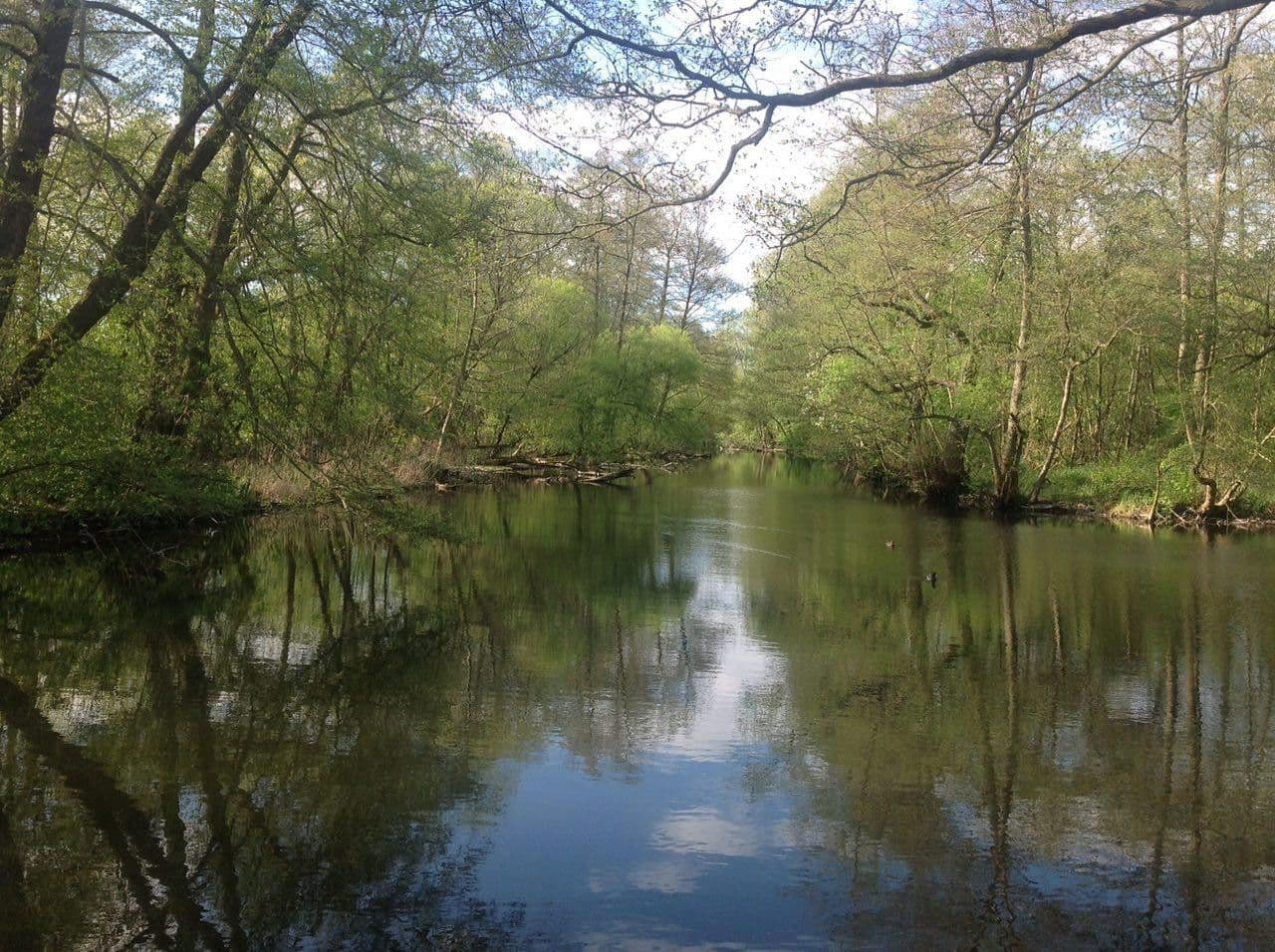 Prodej domu 128 m², pozemek 840 m², Weidenweg 25b, Birkenwerder, Braniborsko Prodej domu 128 m², pozemek 840 m², Weidenweg 25b, Birkenwerder, Braniborsko