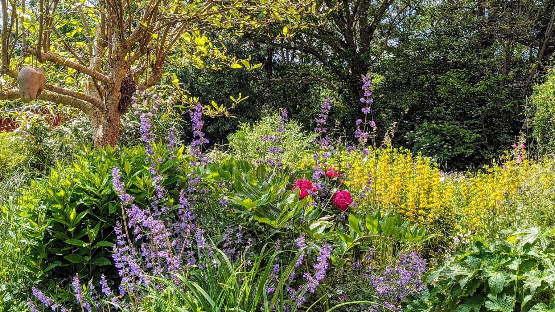 Prodej domu 330 m², pozemek 3.076 m², Daimlerstr. 14, Taunusstein, Hessen Prodej domu 330 m², pozemek 3.076 m², Daimlerstr. 14, Taunusstein, Hessen