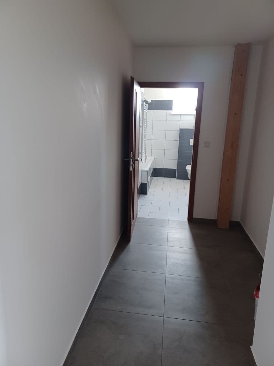 Pronájem bytu 1+kk 46 m², Medlov, Jihomoravský kraj Pronájem bytu 1+kk 46 m², Medlov, Jihomoravský kraj