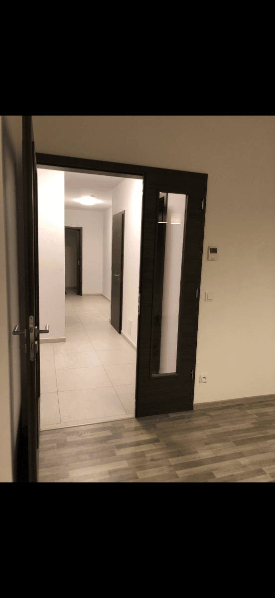 Pronájem bytu 4+kk 84 m², Menšíkova, Brno, Jihomoravský kraj Pronájem bytu 4+kk 84 m², Menšíkova, Brno, Jihomoravský kraj