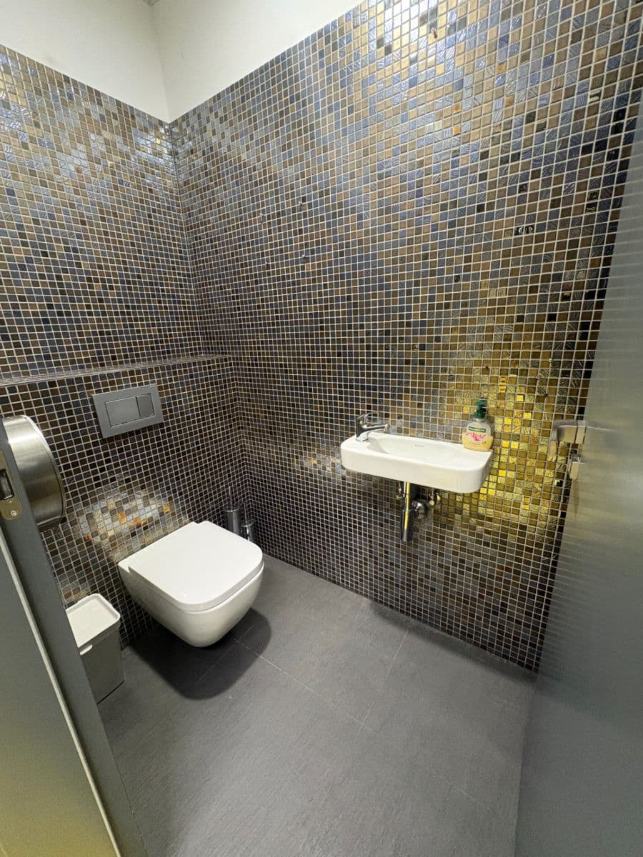 Pronájem nebytového prostoru 215 m², Sokolovská, Praha, Praha Pronájem nebytového prostoru 215 m², Sokolovská, Praha, Praha