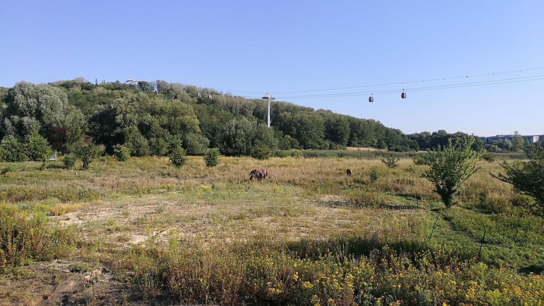 Prodej bytu 3+1 83 m², Hellersdorfer Straße, 111, Berlin, Berlín Prodej bytu 3+1 83 m², Hellersdorfer Straße, 111, Berlin, Berlín