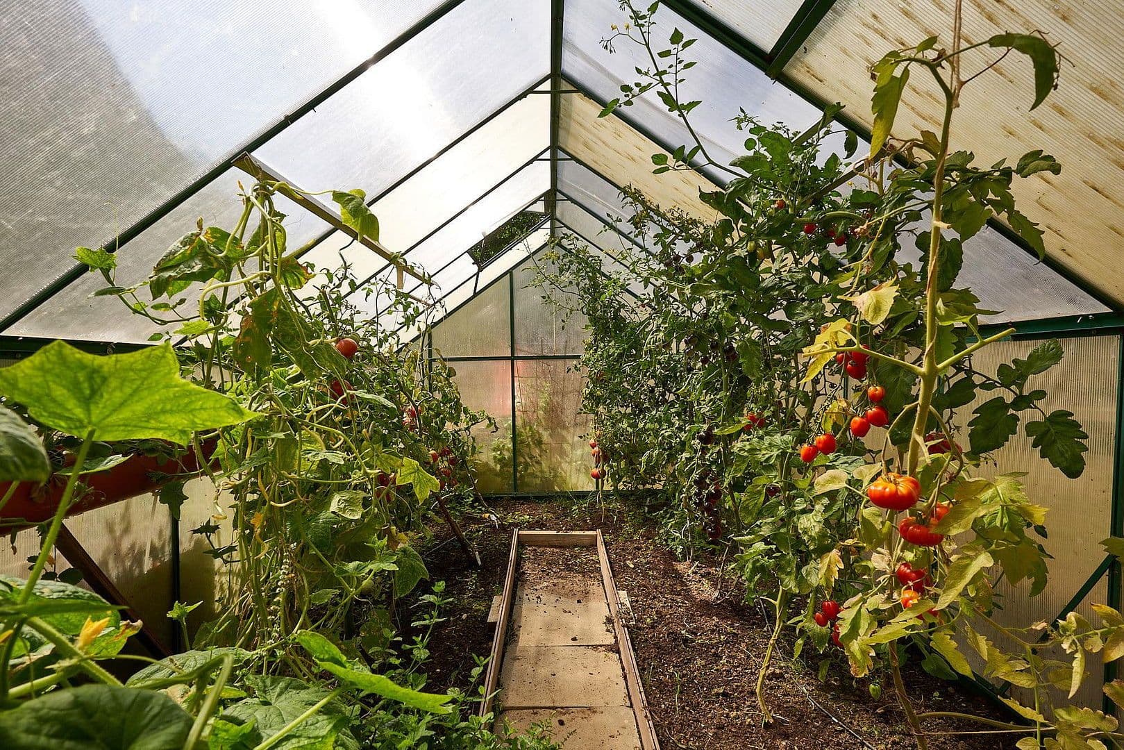 Prodej domu 271 m², pozemek 2.024 m², Lauingen (Donau), Bavorsko Prodej domu 271 m², pozemek 2.024 m², Lauingen (Donau), Bavorsko