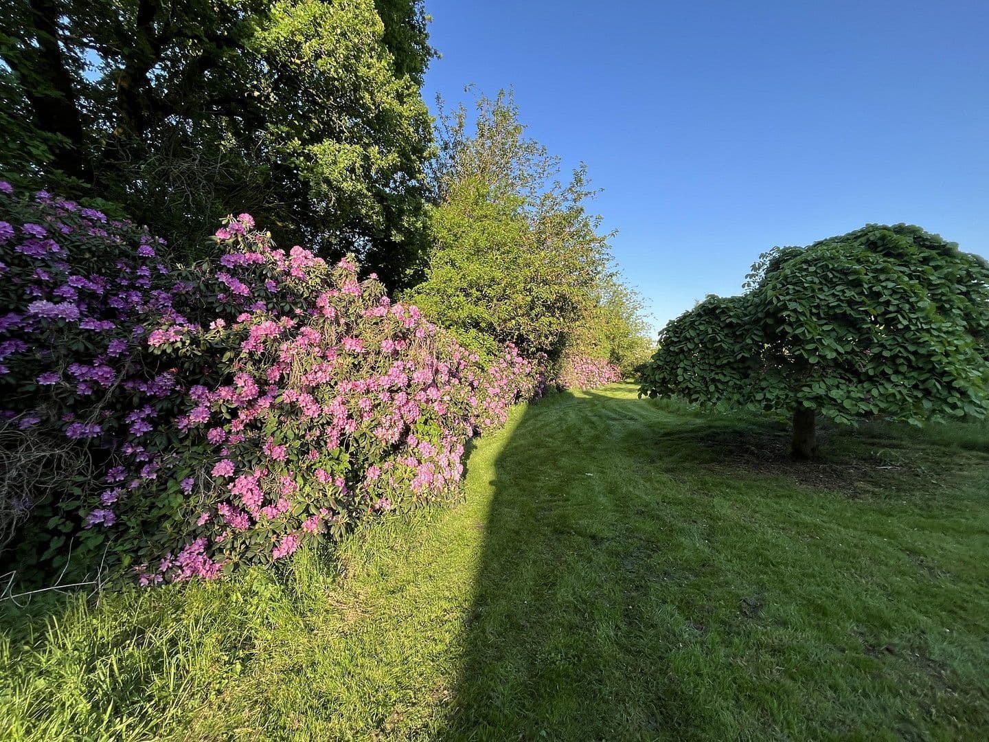 Prodej domu 198 m², pozemek 5.000 m², Dahldorfer Str. 19, Gnarrenburg, Dolní Sasko Prodej domu 198 m², pozemek 5.000 m², Dahldorfer Str. 19, Gnarrenburg, Dolní Sasko