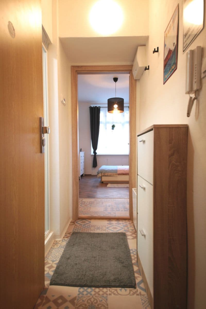 Pronájem bytu 28 m², U Zeměpisného ústavu, Praha, Praha Pronájem bytu 28 m², U Zeměpisného ústavu, Praha, Praha