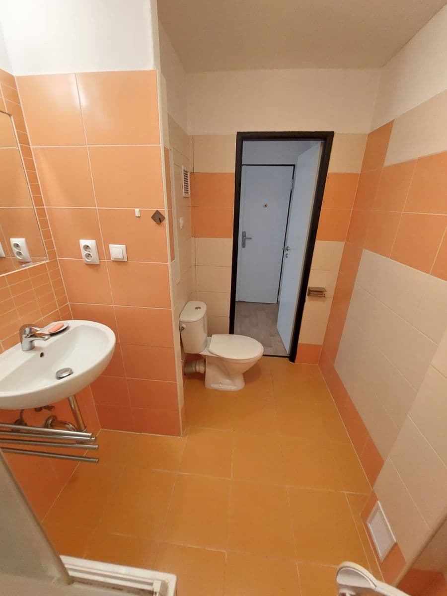 Pronájem bytu 1+1 42 m², Smrková, Plzeň, Plzeňský kraj Pronájem bytu 1+1 42 m², Smrková, Plzeň, Plzeňský kraj