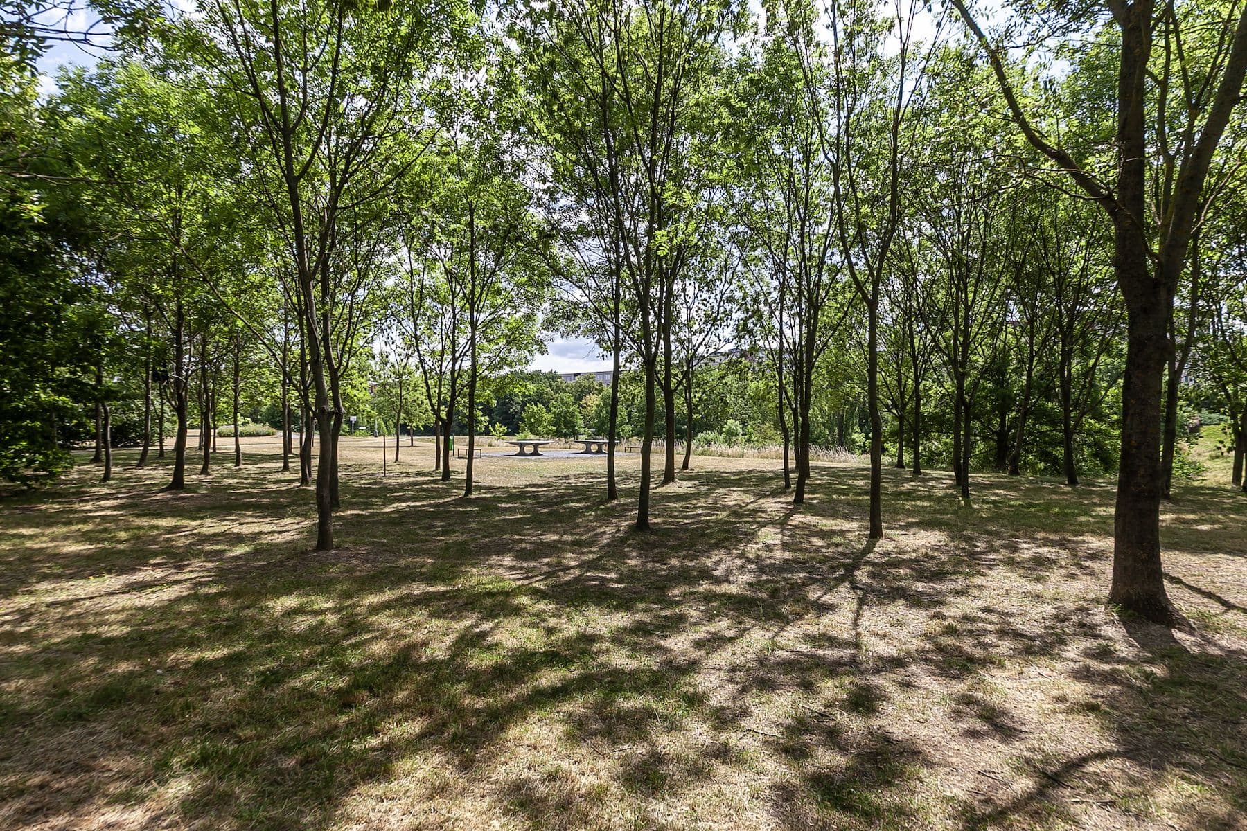 Prodej bytu 2+1 65 m², Bouřilova, Praha, Praha Prodej bytu 2+1 65 m², Bouřilova, Praha, Praha