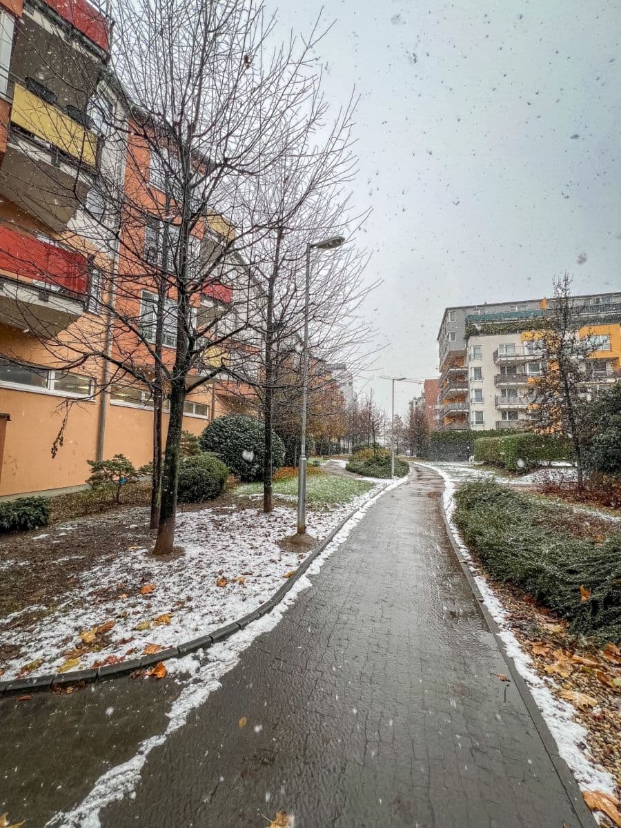 Pronájem bytu 1+kk 41 m², Poděbradská, Praha, Praha Pronájem bytu 1+kk 41 m², Poděbradská, Praha, Praha