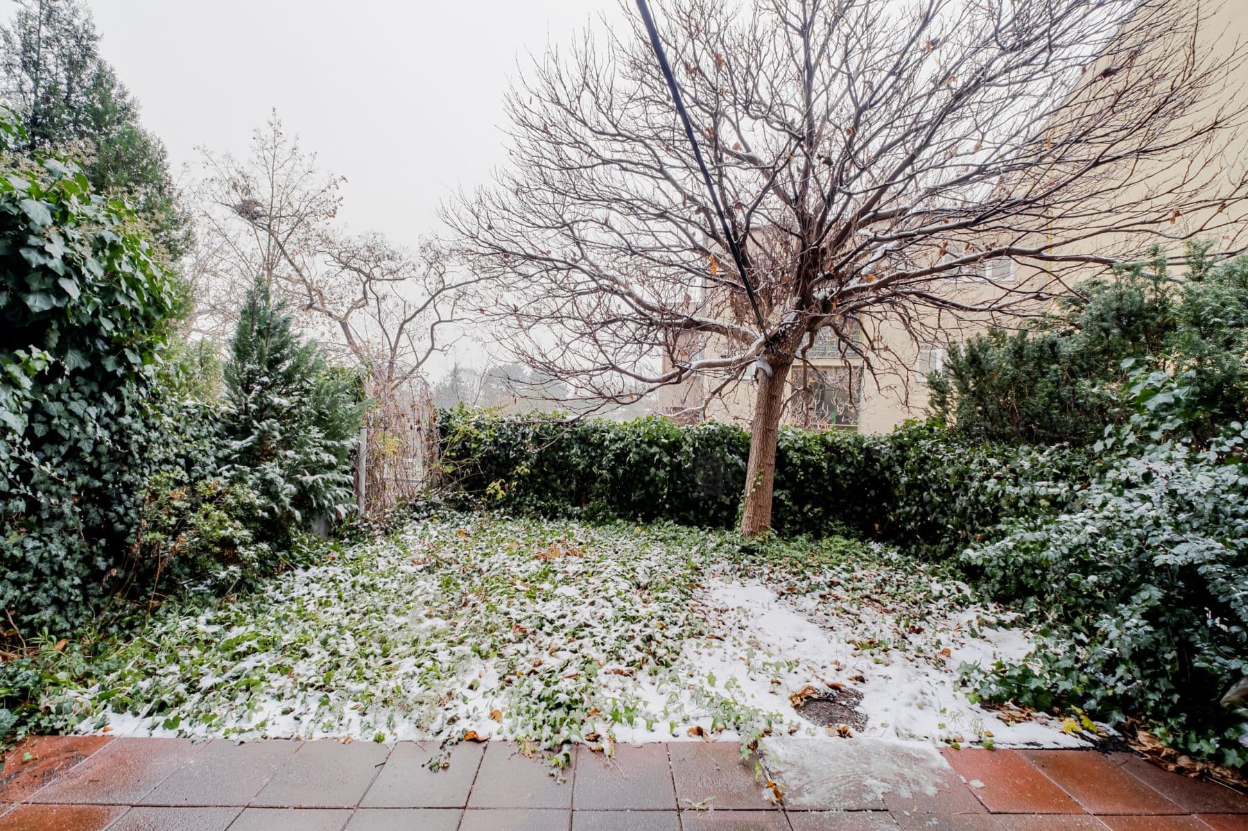 Pronájem bytu 63 m², U Zvonařky, Praha, Praha Pronájem bytu 63 m², U Zvonařky, Praha, Praha