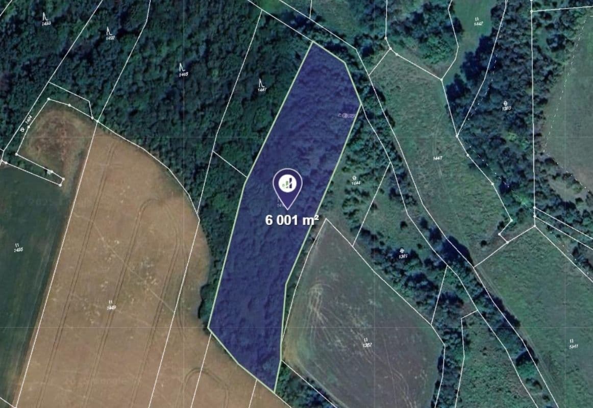 Prodej pozemku 6.001 m², Vysoká, Středočeský kraj Prodej pozemku 6.001 m², Vysoká, Středočeský kraj