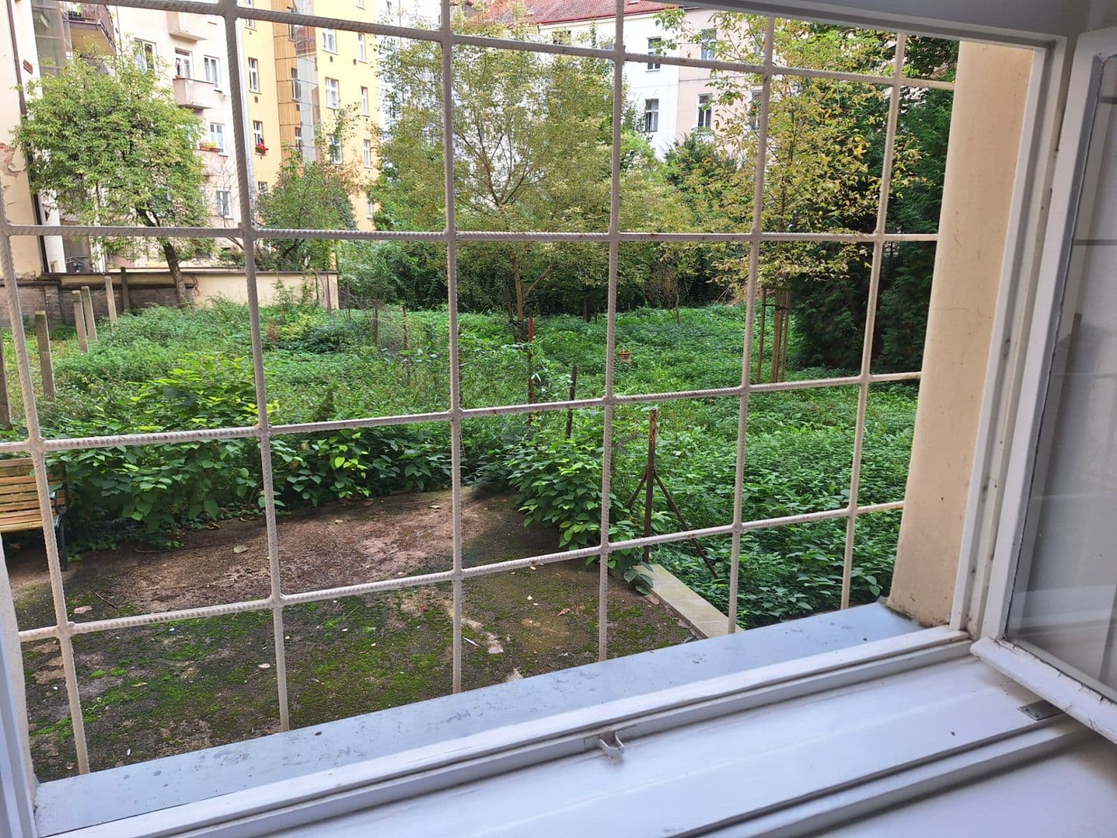 Pronájem bytu 2+kk 38 m², Václavkova, Praha, Praha Pronájem bytu 2+kk 38 m², Václavkova, Praha, Praha