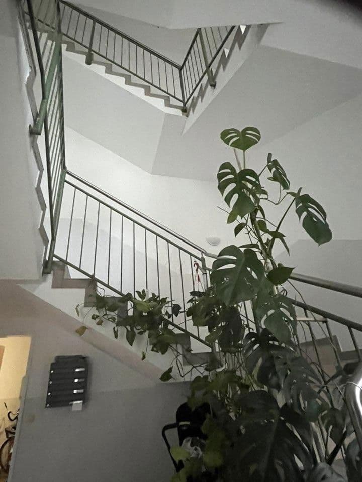 Pronájem bytu 2+1 46 m², Enns, Horní Rakousko Pronájem bytu 2+1 46 m², Enns, Horní Rakousko