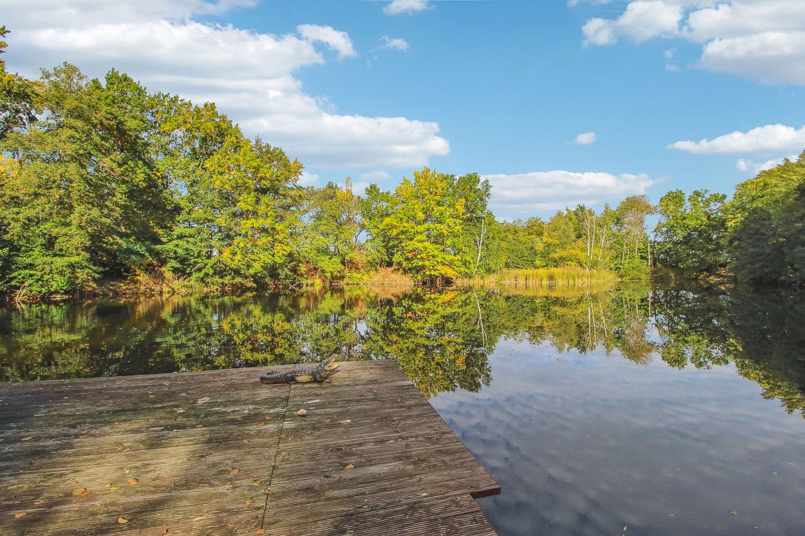 Prodej domu 234 m², pozemek 16.257 m², Am Mellensee, Braniborsko Prodej domu 234 m², pozemek 16.257 m², Am Mellensee, Braniborsko