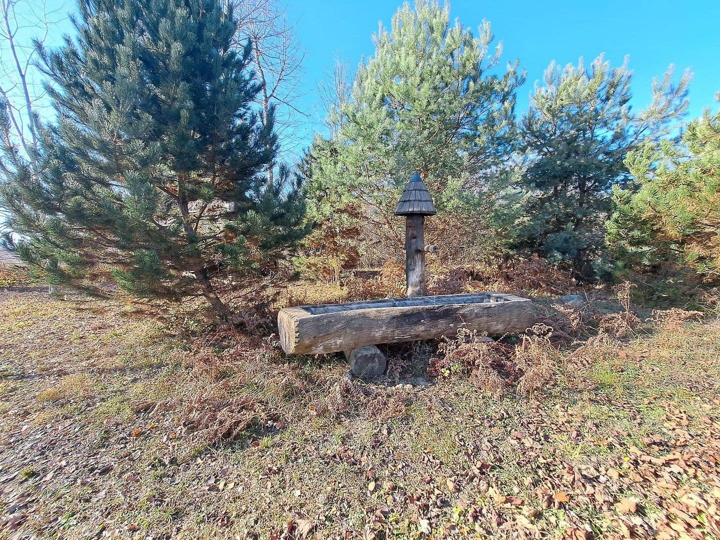 Prodej domu 872 m², pozemek 25.421 m², Sankt Veit an der Glan, Korutany Prodej domu 872 m², pozemek 25.421 m², Sankt Veit an der Glan, Korutany