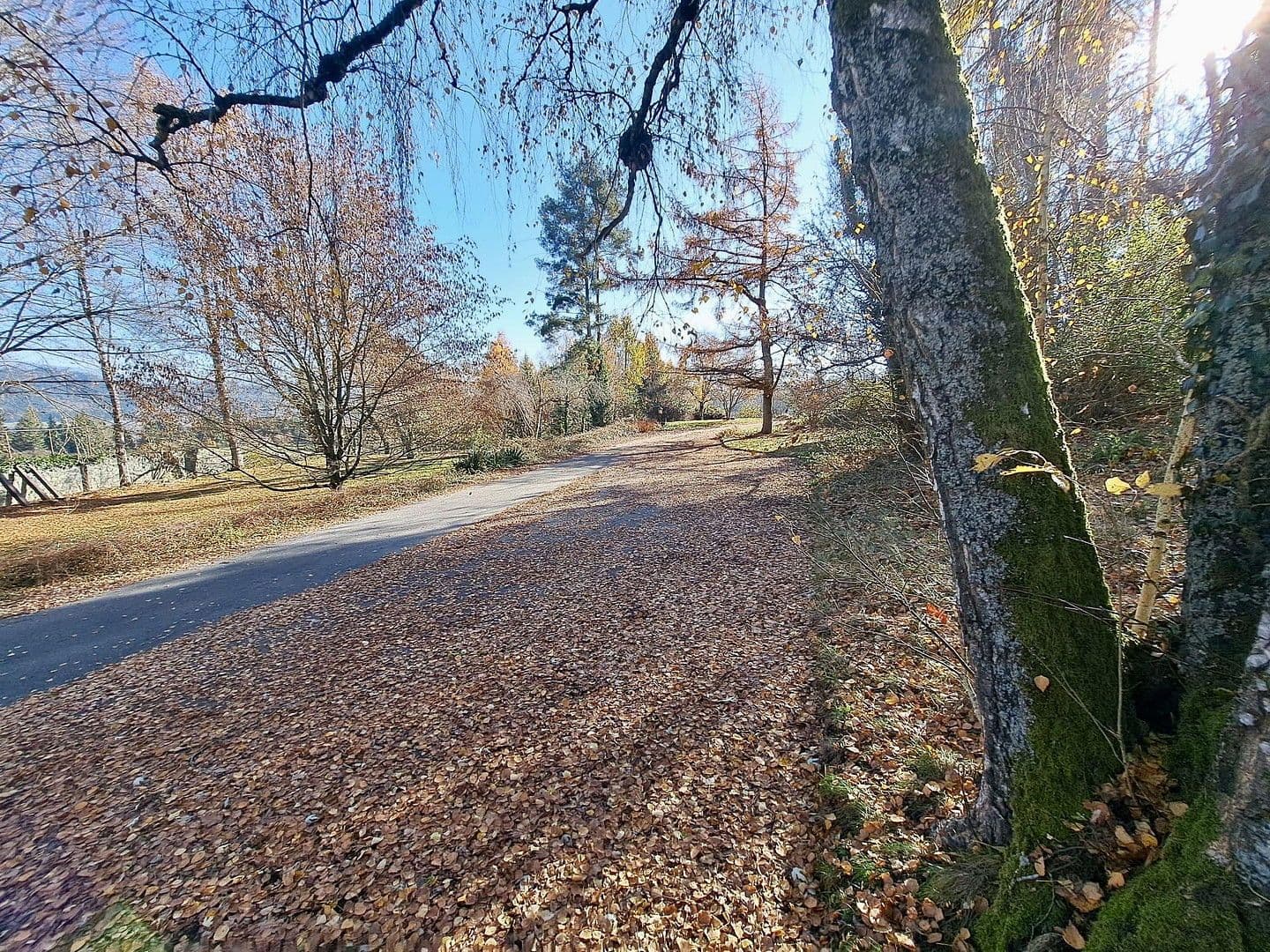 Prodej domu 872 m², pozemek 25.421 m², Sankt Veit an der Glan, Korutany Prodej domu 872 m², pozemek 25.421 m², Sankt Veit an der Glan, Korutany