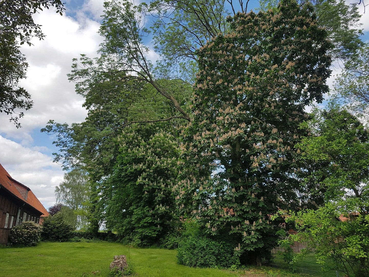 Prodej domu 210 m², pozemek 6.624 m², Zum Kirchplatz 14, Bleckede, Dolní Sasko Prodej domu 210 m², pozemek 6.624 m², Zum Kirchplatz 14, Bleckede, Dolní Sasko