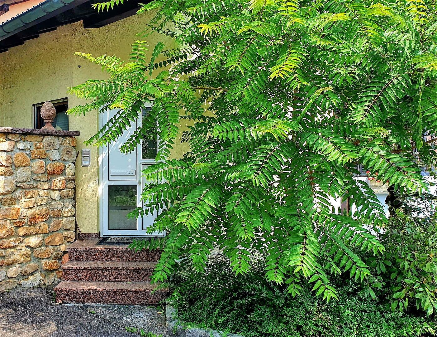 Prodej domu 406 m², pozemek 631 m², Augster Strasse 4, Rheinfelden (Baden), Bádensko-Württembersko Prodej domu 406 m², pozemek 631 m², Augster Strasse 4, Rheinfelden (Baden), Bádensko-Württembersko