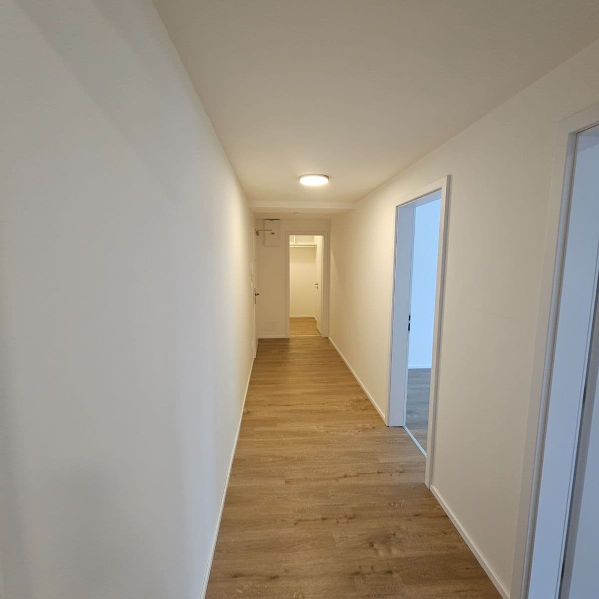 Pronájem bytu 2+kk 59 m², Ghegova, Brno, Jihomoravský kraj Pronájem bytu 2+kk 59 m², Ghegova, Brno, Jihomoravský kraj