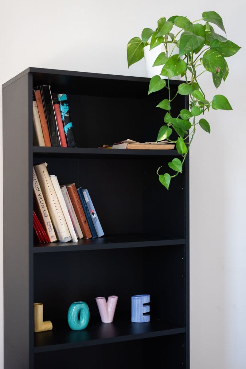 Pronájem bytu 65 m², Těšnov, Praha, Praha Pronájem bytu 65 m², Těšnov, Praha, Praha