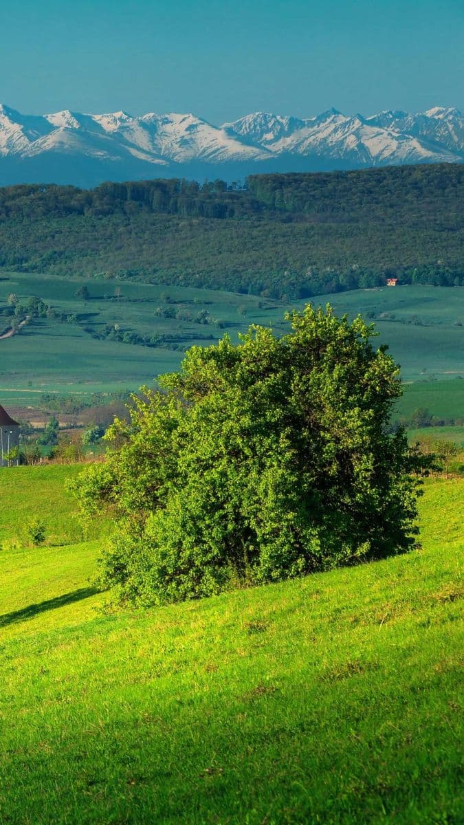 Pronájem domu 100 m², pozemek 1.500 m², Turnov, Liberecký kraj Pronájem domu 100 m², pozemek 1.500 m², Turnov, Liberecký kraj