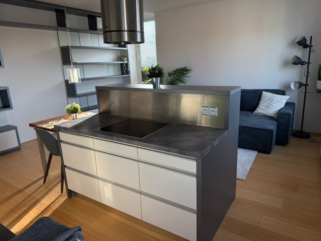 Pronájem bytu 2+kk 69 m², Rybářská, Brno, Jihomoravský kraj Pronájem bytu 2+kk 69 m², Rybářská, Brno, Jihomoravský kraj