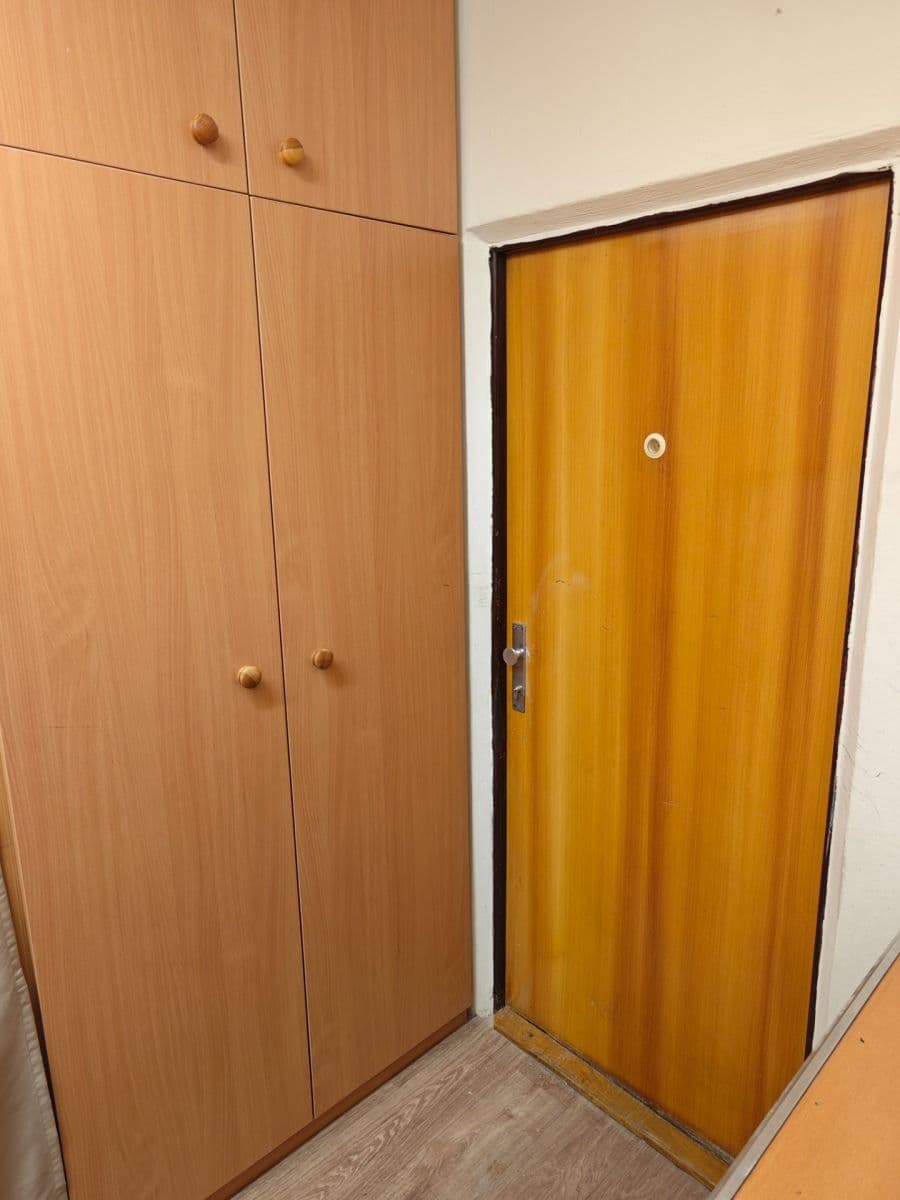 Pronájem bytu 2+1 58 m², Krajní, Plzeň, Plzeňský kraj Pronájem bytu 2+1 58 m², Krajní, Plzeň, Plzeňský kraj