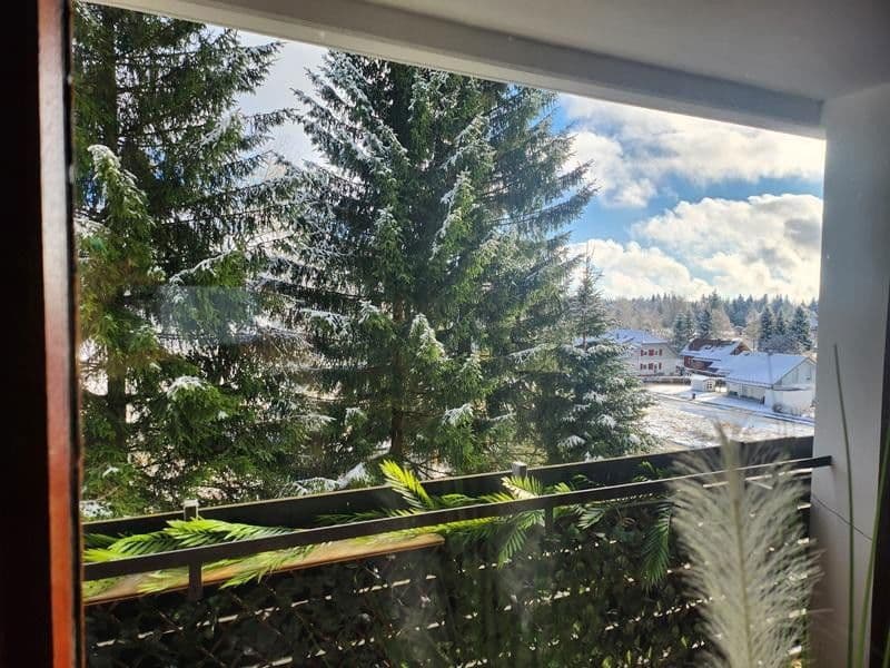 Prodej bytu 1+1 36 m², Kohlwaldweg 36, Freudenstadt, Bádensko-Württembersko Prodej bytu 1+1 36 m², Kohlwaldweg 36, Freudenstadt, Bádensko-Württembersko