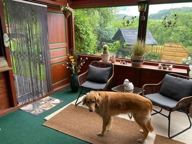 Pronájem domu 193 m², pozemek 580 m², Haschbach am Remigiusberg, Porýní-Falc Pronájem domu 193 m², pozemek 580 m², Haschbach am Remigiusberg, Porýní-Falc