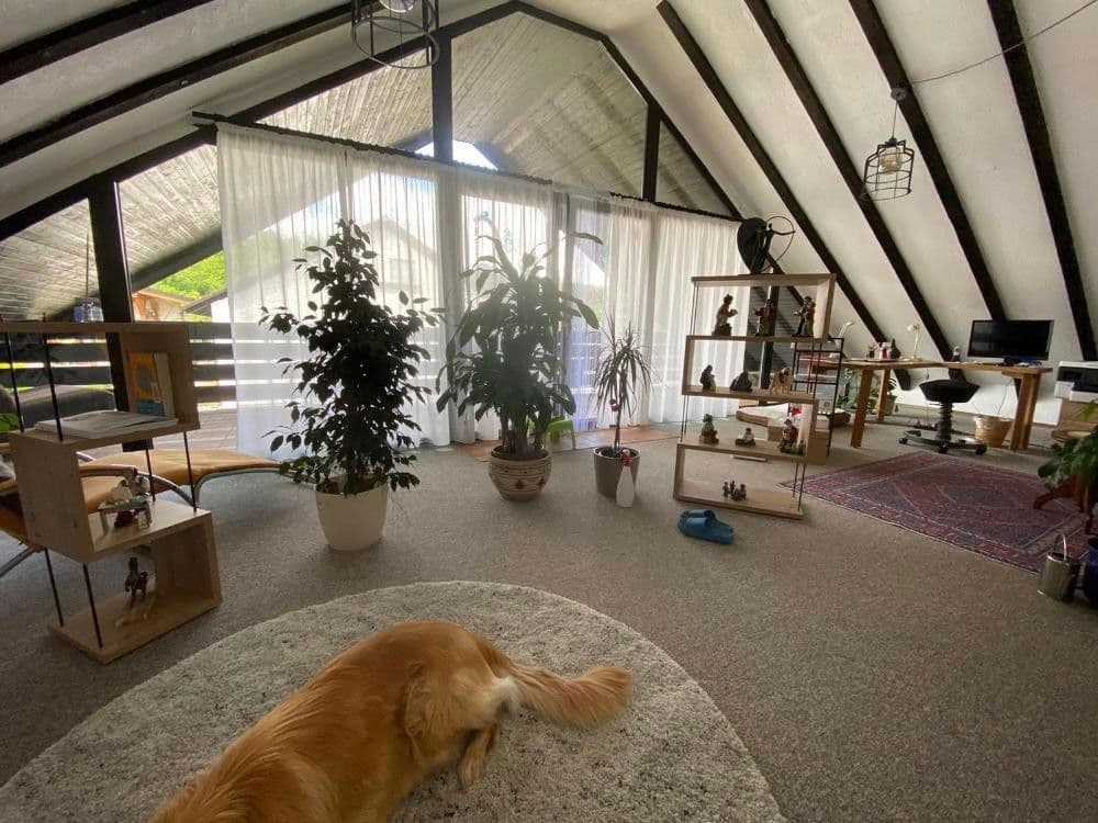 Pronájem domu 193 m², pozemek 580 m², Haschbach am Remigiusberg, Porýní-Falc Pronájem domu 193 m², pozemek 580 m², Haschbach am Remigiusberg, Porýní-Falc