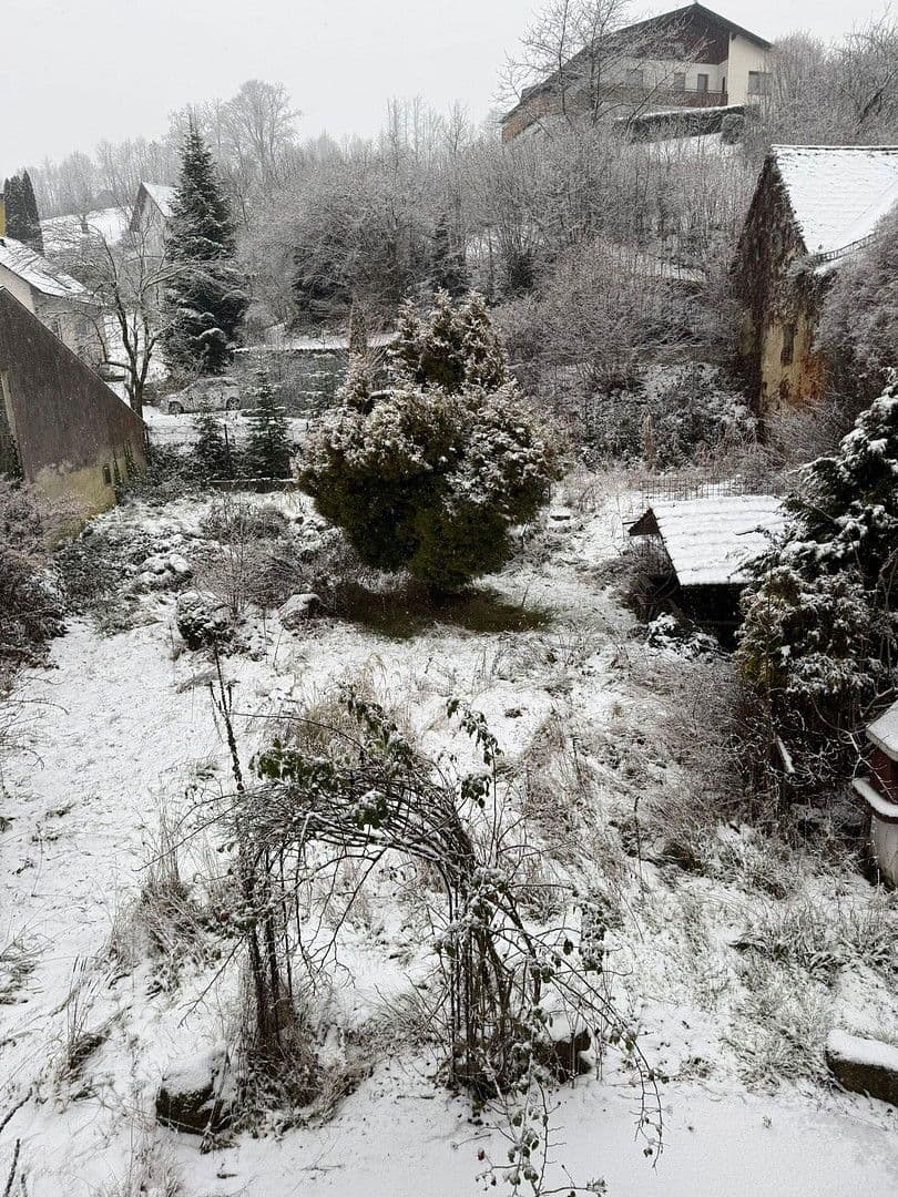 Prodej domu 276 m², pozemek 812 m², Markt 4, Waldhausen, Horní Rakousko Prodej domu 276 m², pozemek 812 m², Markt 4, Waldhausen, Horní Rakousko