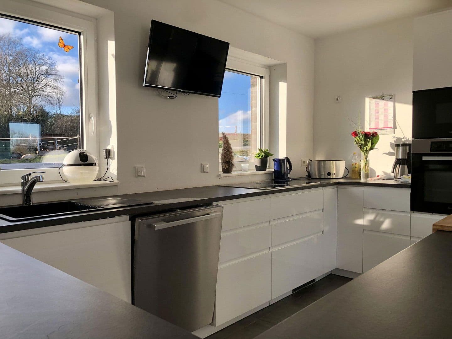 Prodej domu 230 m², pozemek 38.620 m², Oldenburg in Holstein, Šlesvicko-Holštýnsko Prodej domu 230 m², pozemek 38.620 m², Oldenburg in Holstein, Šlesvicko-Holštýnsko