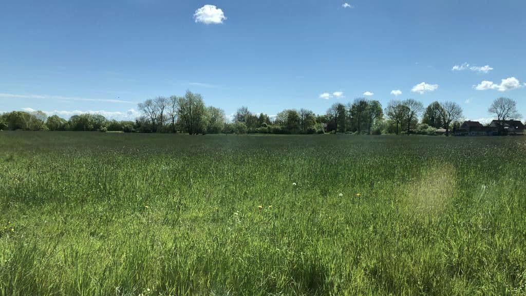 Prodej domu 230 m², pozemek 38.620 m², Oldenburg in Holstein, Šlesvicko-Holštýnsko Prodej domu 230 m², pozemek 38.620 m², Oldenburg in Holstein, Šlesvicko-Holštýnsko