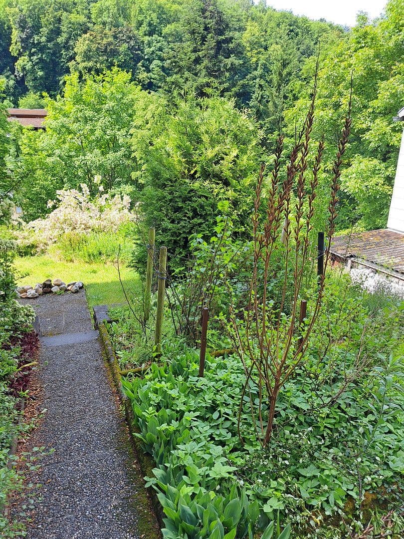 Prodej domu 235 m², pozemek 552 m², Wolfskehle, Kulmbach, Bavorsko Prodej domu 235 m², pozemek 552 m², Wolfskehle, Kulmbach, Bavorsko